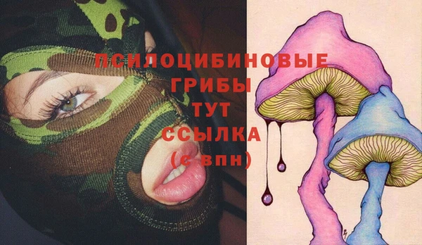МДМА Беломорск