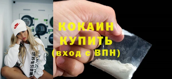 гидра Богданович