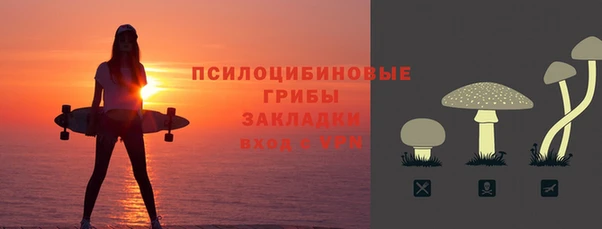 метадон Белокуриха