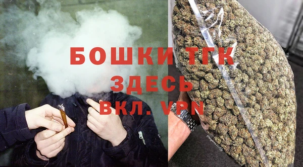 гидра Богданович