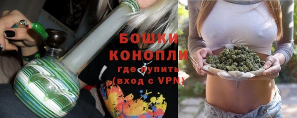 гидра Богданович